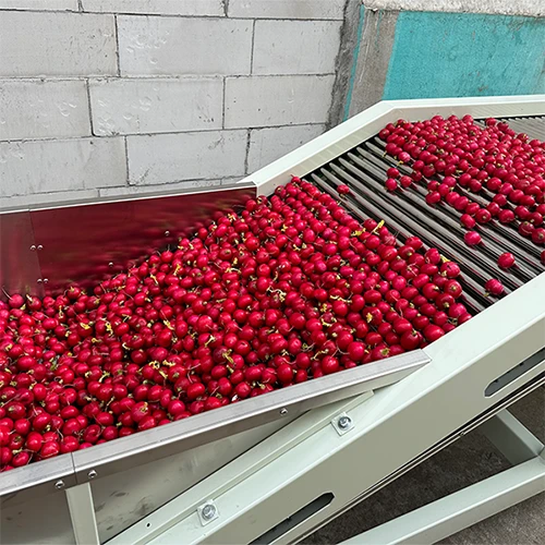 High Efficiency Small Cherry Radish Grading Machine high quality